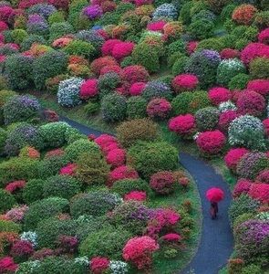 Meet your Posher, Cossoguy